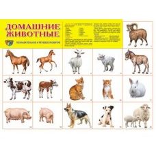 Новое по пособиями по уходу за ребенком